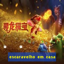 escaravelho em casa significado espiritual